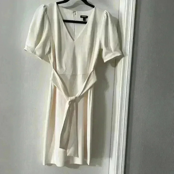 Express V-Neck Tie Waist Sheath Dress - Picture 3 of 6